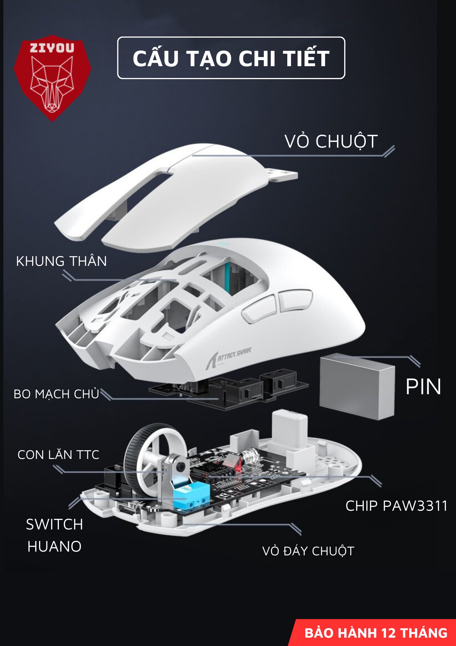 Mô tả Chuột Không Dây Bluetooth Chuyên Gaming Ziyou Attack Shark X11 Chip Khủng PAW3311 Pollingrate 1Khz - 10