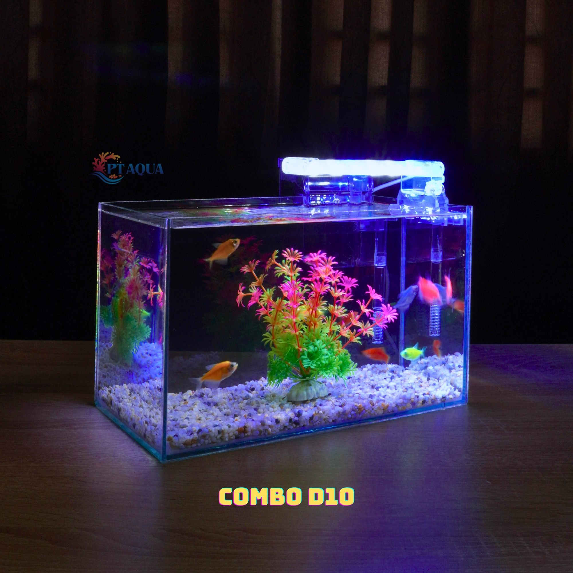Bể cá mini để bàn COMBO giá rẻ đầy đủ phụ kiện | Shopee Việt Nam
