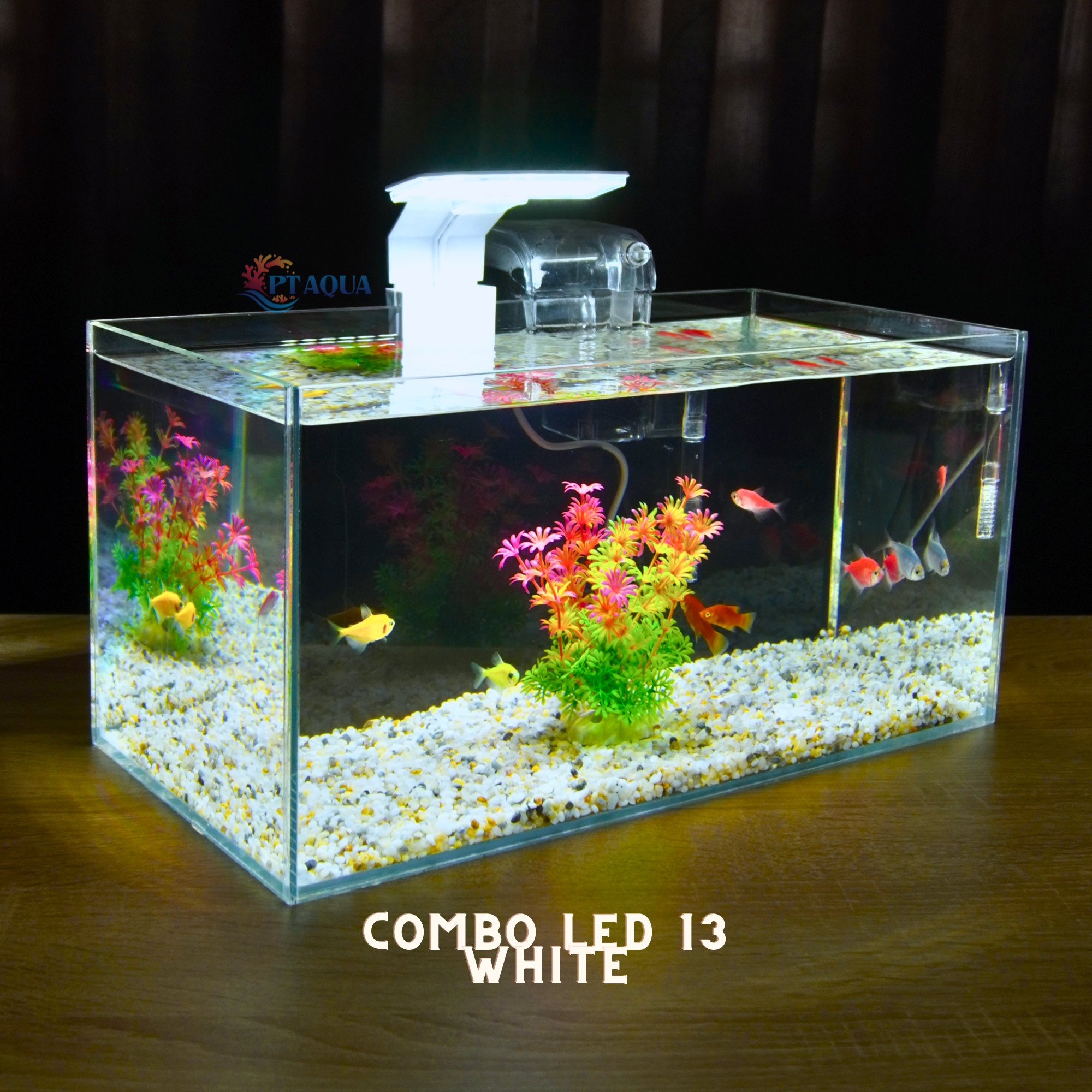 Bể cá mini để bàn 40x20x20cm nhiều mẫu phù hợp nuôi cá cảnh mini nhỏ ...