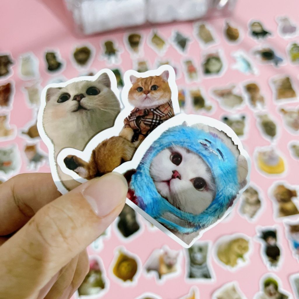 Set 100 sticker chủ đề meme mèo đáng yêu những chú mèo dễ thương hình ...