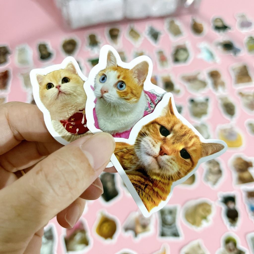 Set 100 sticker chủ đề meme mèo đáng yêu những chú mèo dễ thương hình ...