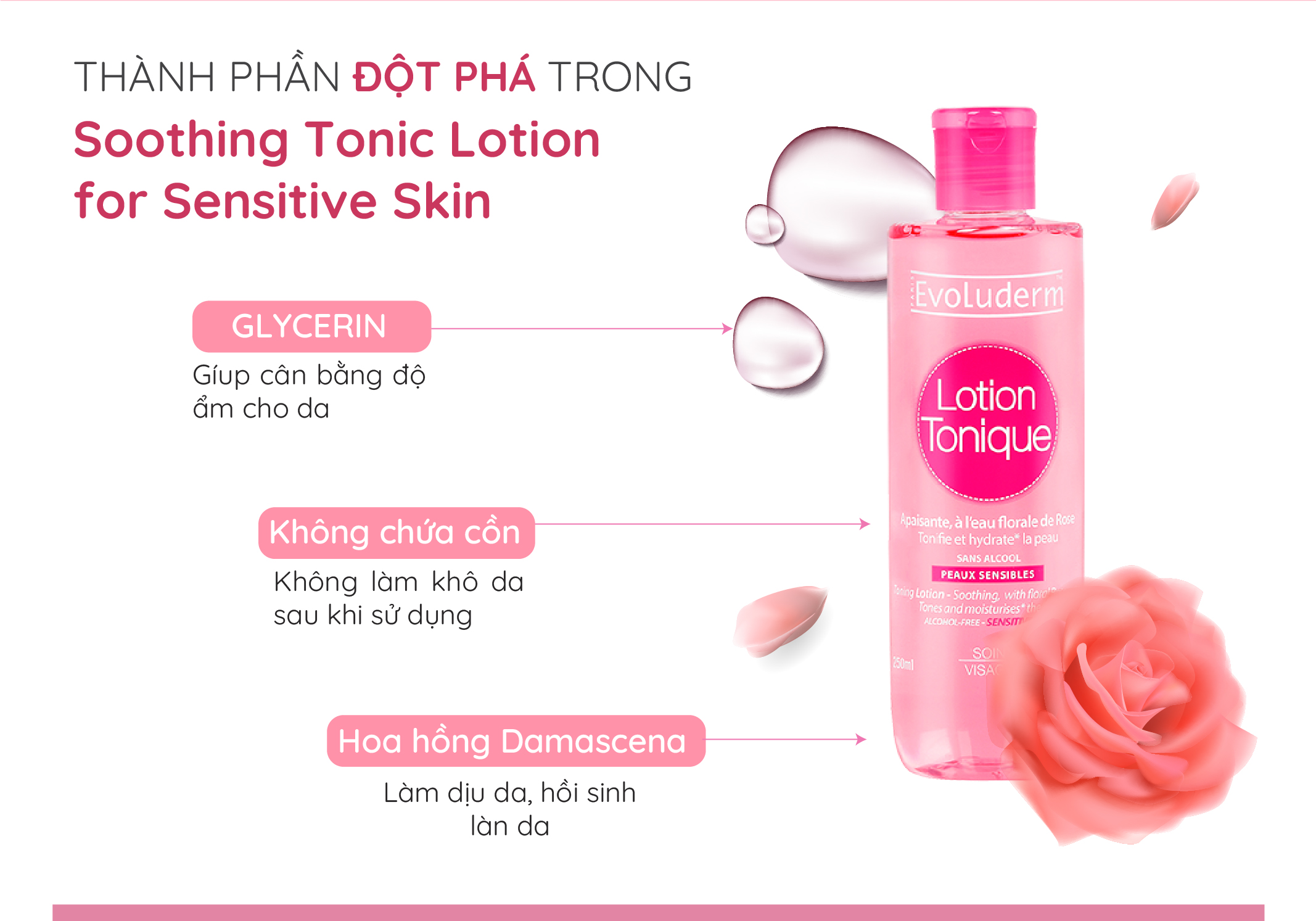 Mô tả Nước hoa hồng Evoluderm dưỡng ẩm cân bằng da dành cho da khô và nhạy cảm 250ml - 2