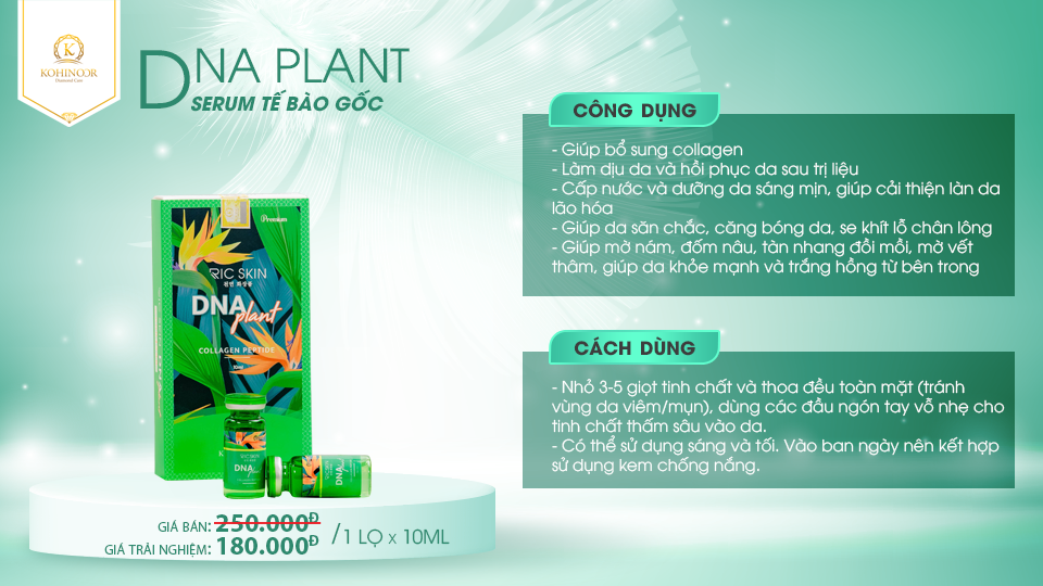 Mô tả Combo viên uống đẹp da mờ nám Tảo Sâm Kohinoor 45 viên & serum DNA plant Kohinoor 10ml - 2