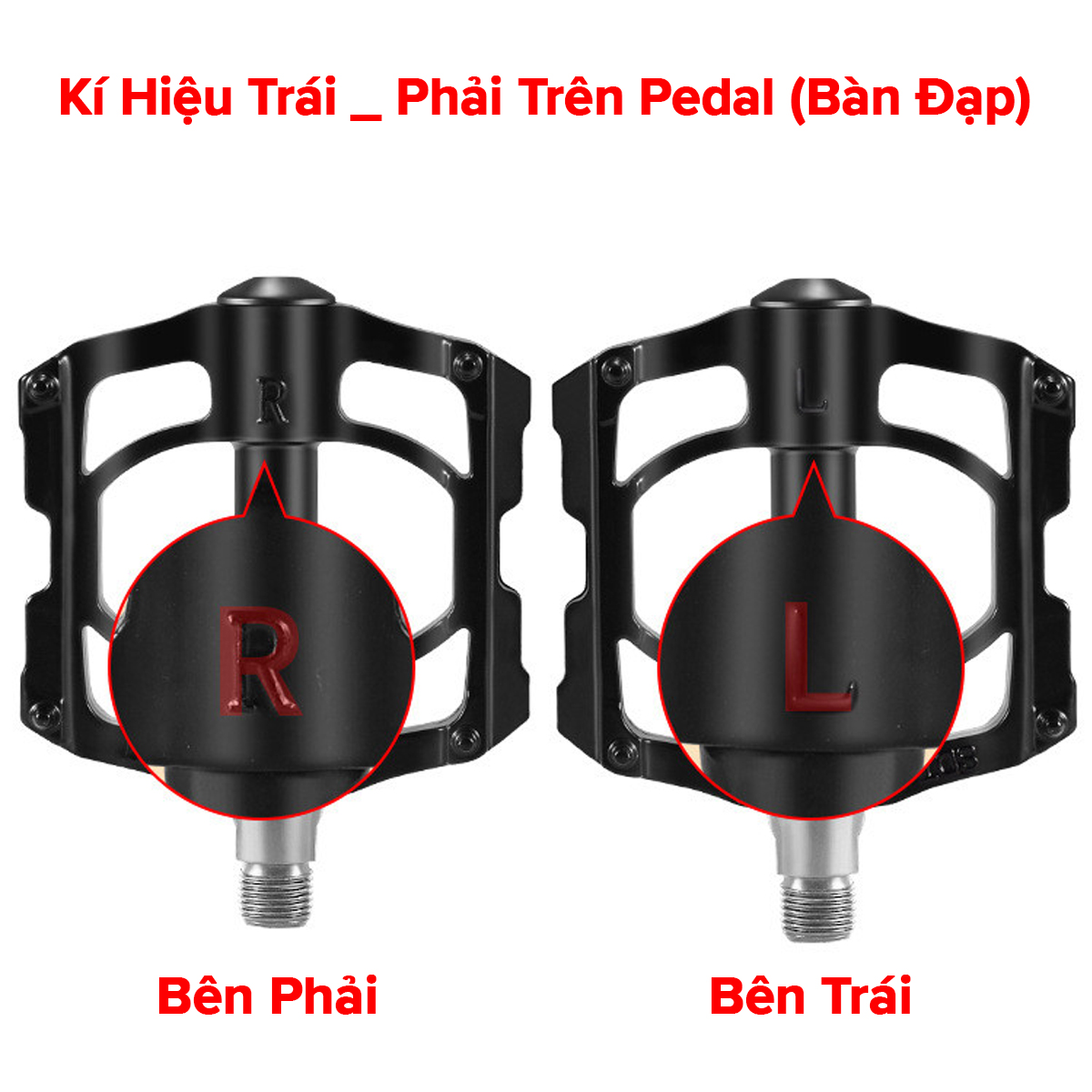 Mô tả Bàn Đạp Xe Đạp 1 Cặp (2 Chiếc) Pedal Cho Xe Đạp Thể Thao Bằng Hợp Kim Thép Nhôm Chống Trượt Chính Hãng Amalife - 6