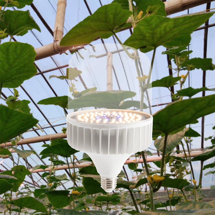 Mô tả Đèn LED chiếu sáng cây trồng Rạng Đông 50W - Kích thích tăng trưởng - 1