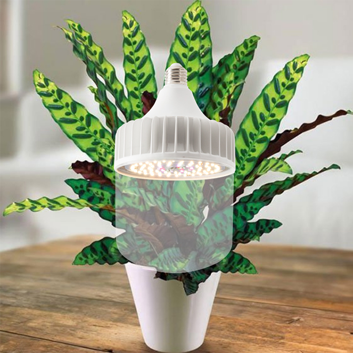 Mô tả Đèn LED chiếu sáng cây trồng Rạng Đông 50W - Kích thích tăng trưởng - 2