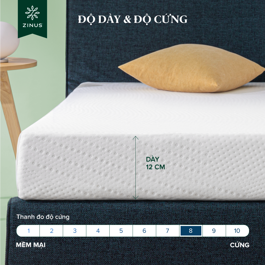 Mô tả Nệm Foam HD Bảo Vệ Cột Sống Dày 12cm Zinus - 5in Foam Mattress Extra - 2