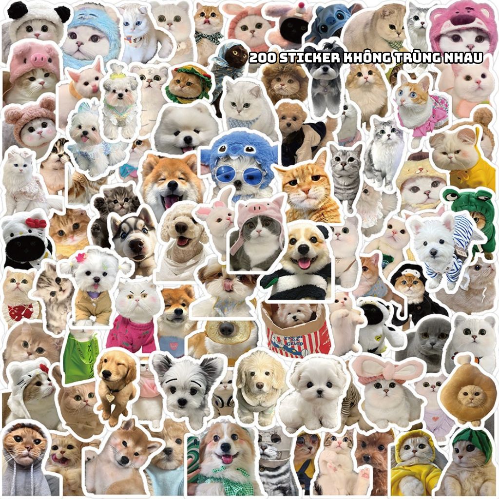 Set 200 sticker chó mèo meme cute dễ thương nhãn dán chó mèo hình dán ...