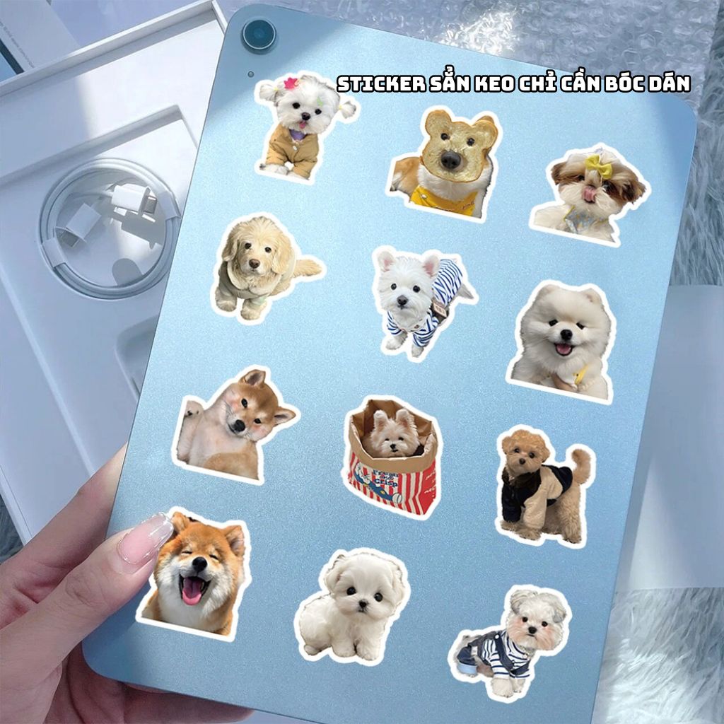 Set 200 sticker chó mèo meme cute dễ thương nhãn dán chó mèo hình dán ...