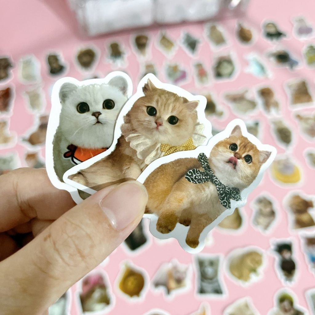 Set 200 sticker chó mèo meme cute dễ thương nhãn dán chó mèo hình dán ...