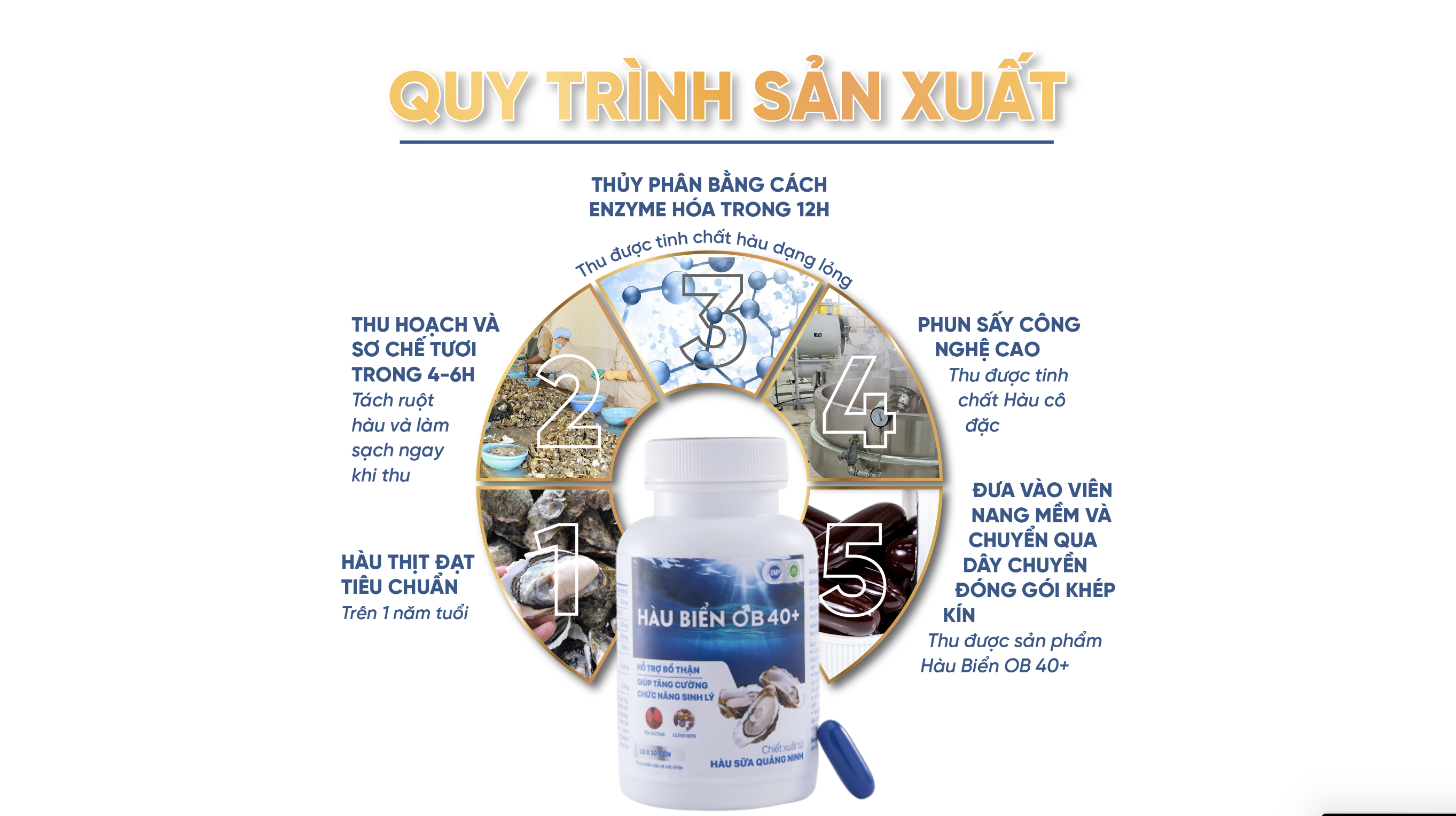 Mô tả Tinh Chất Hàu Biển OB 40+ Tăng Cường Sinh Lý Nam Giới, Bổ Thận Tráng Dương (Hộp 30 Viên) Growgreenaz - 4