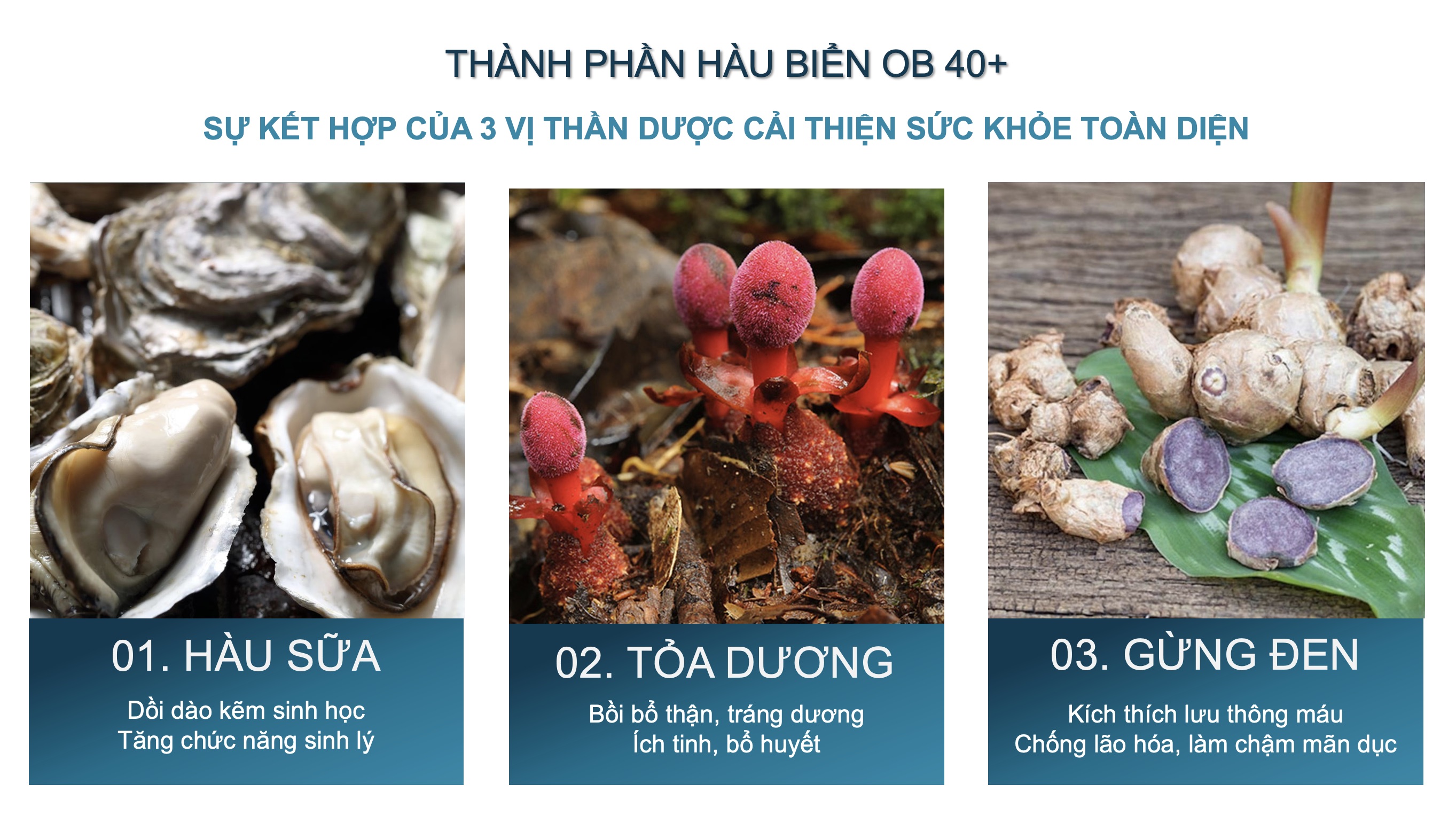 Mô tả Tinh Chất Hàu Biển OB 40+ Tăng Cường Sinh Lý Nam Giới, Bổ Thận Tráng Dương (Hộp 30 Viên) Growgreenaz - 2