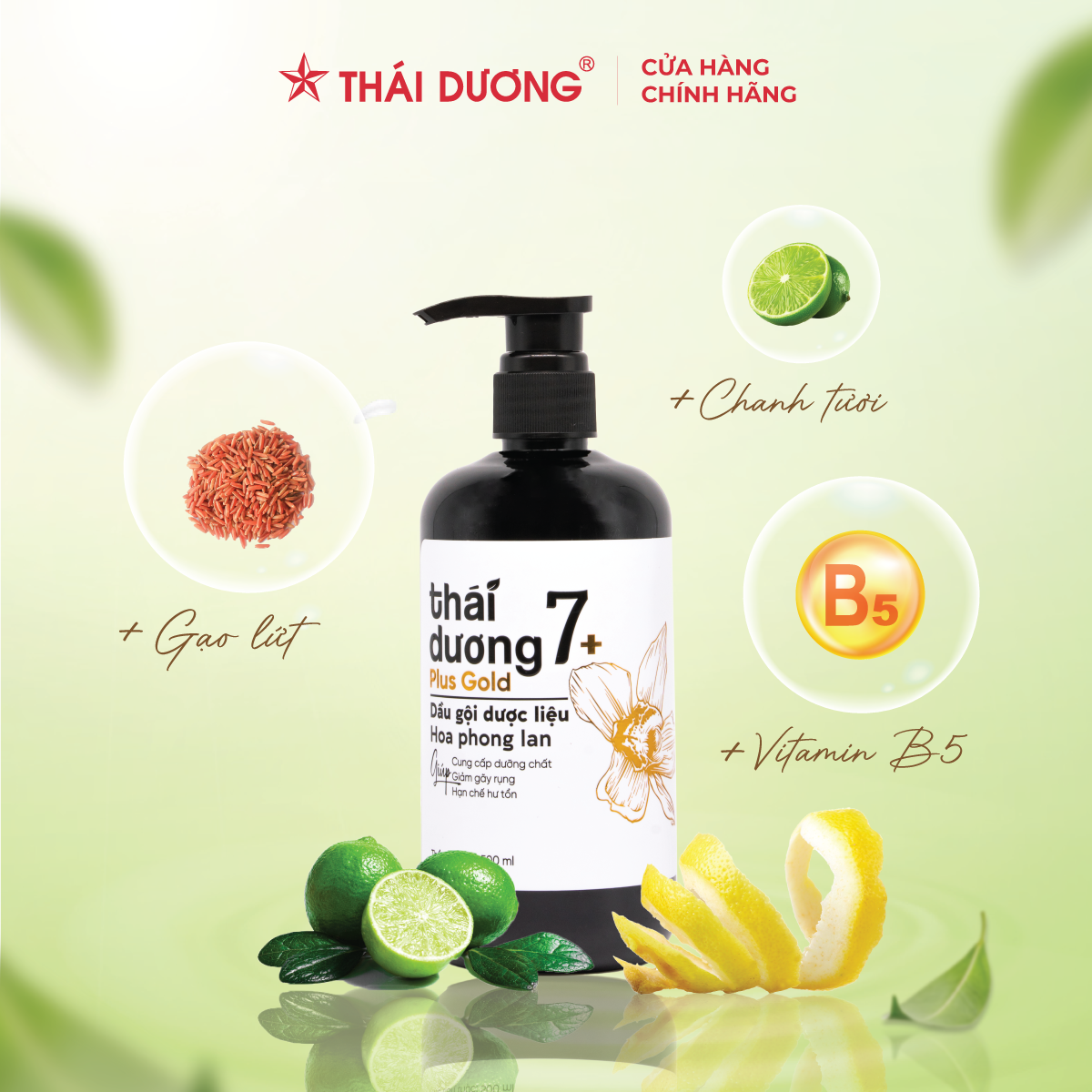 Mô tả Dầu gội Thái Dương 7 Plus Gold Hoa Phong Lan 500ml/250ml  - Dầu gội thảo dược hỗ trợ chống gàu, ngứa, giảm rụng tóc - 1