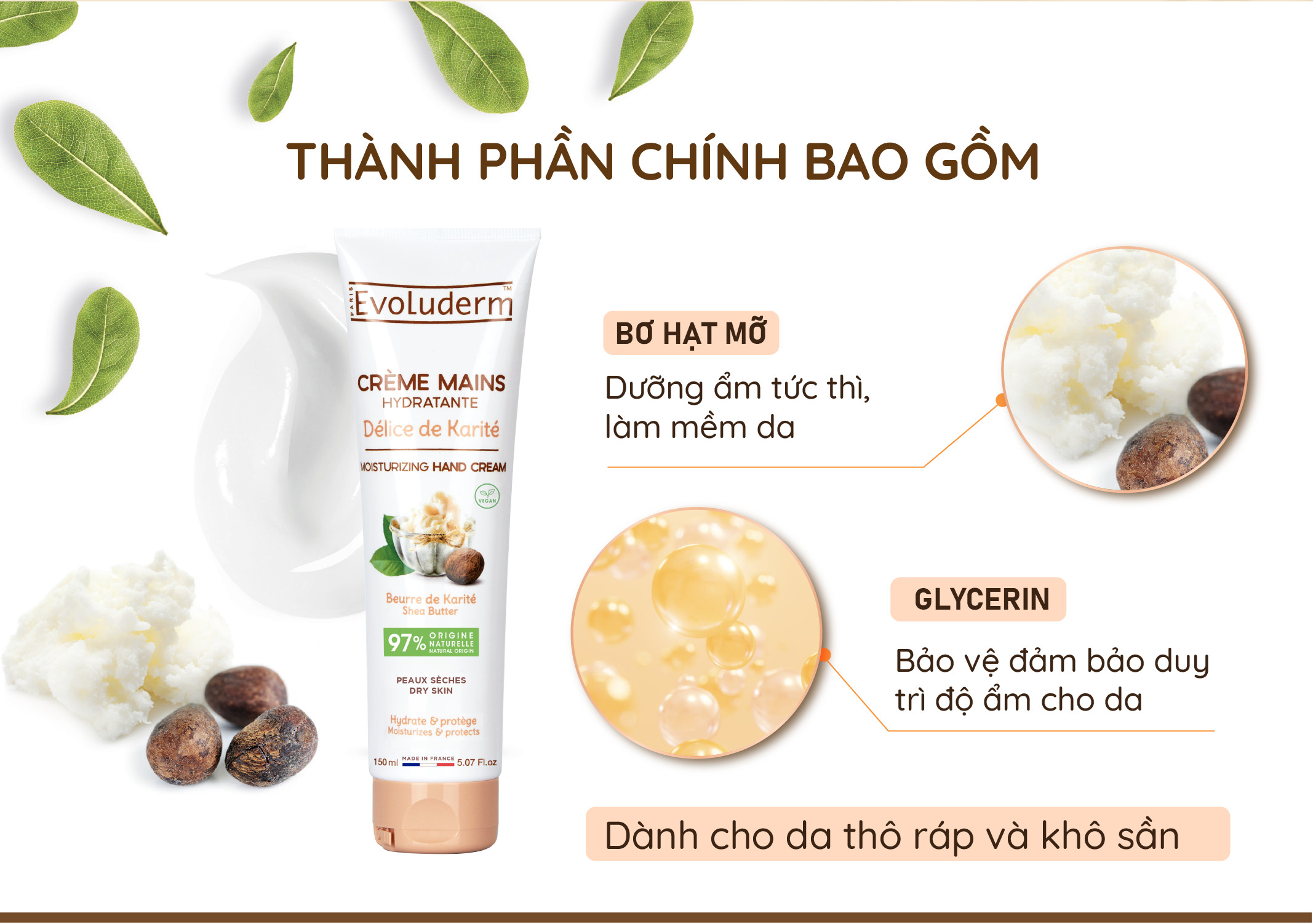 Mô tả Kem dưỡng da tay & móng tay Evoluderm giúp da tay mềm mại 150ml - 2
