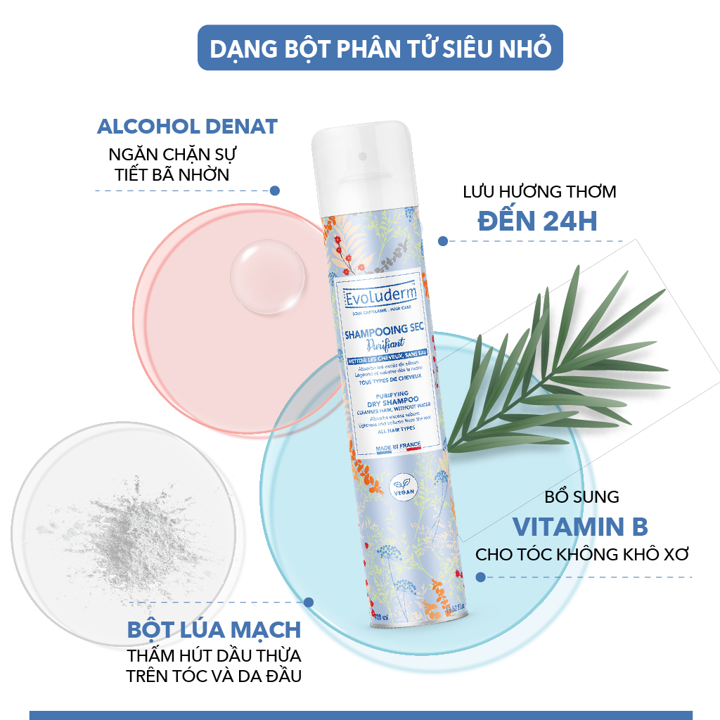 Mô tả Dầu gội đầu khô Evoluderm 200ml - 2
