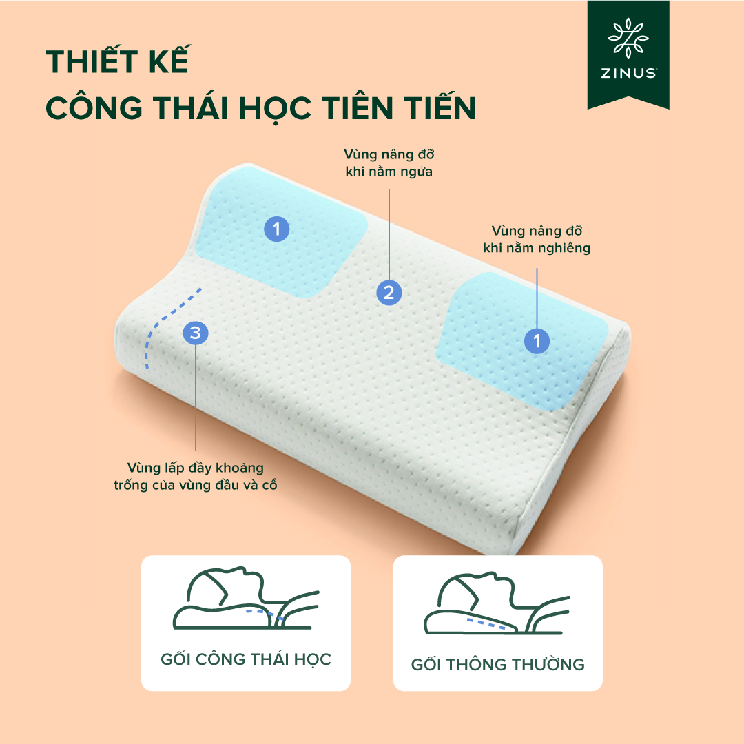 Mô tả Gối Cao Su Non Công Thái Học Giảm Đau Cổ Vai Gáy - Zinus Contour Pillow Memory Foam - 2