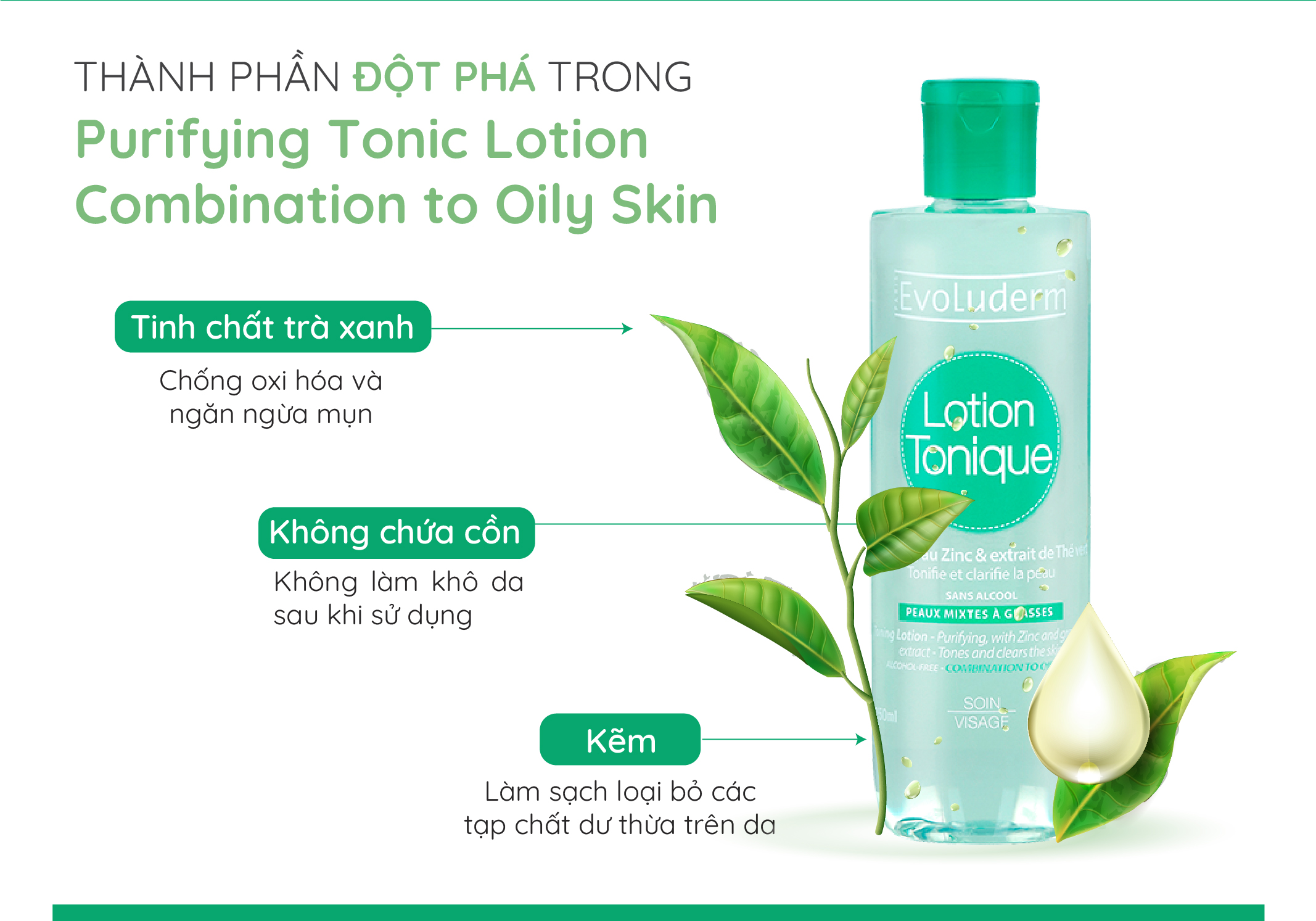 Mô tả Nước hoa hồng Evoluderm se khít lỗ chân lông, dưỡng ẩm & làm sạch 250ml - 1