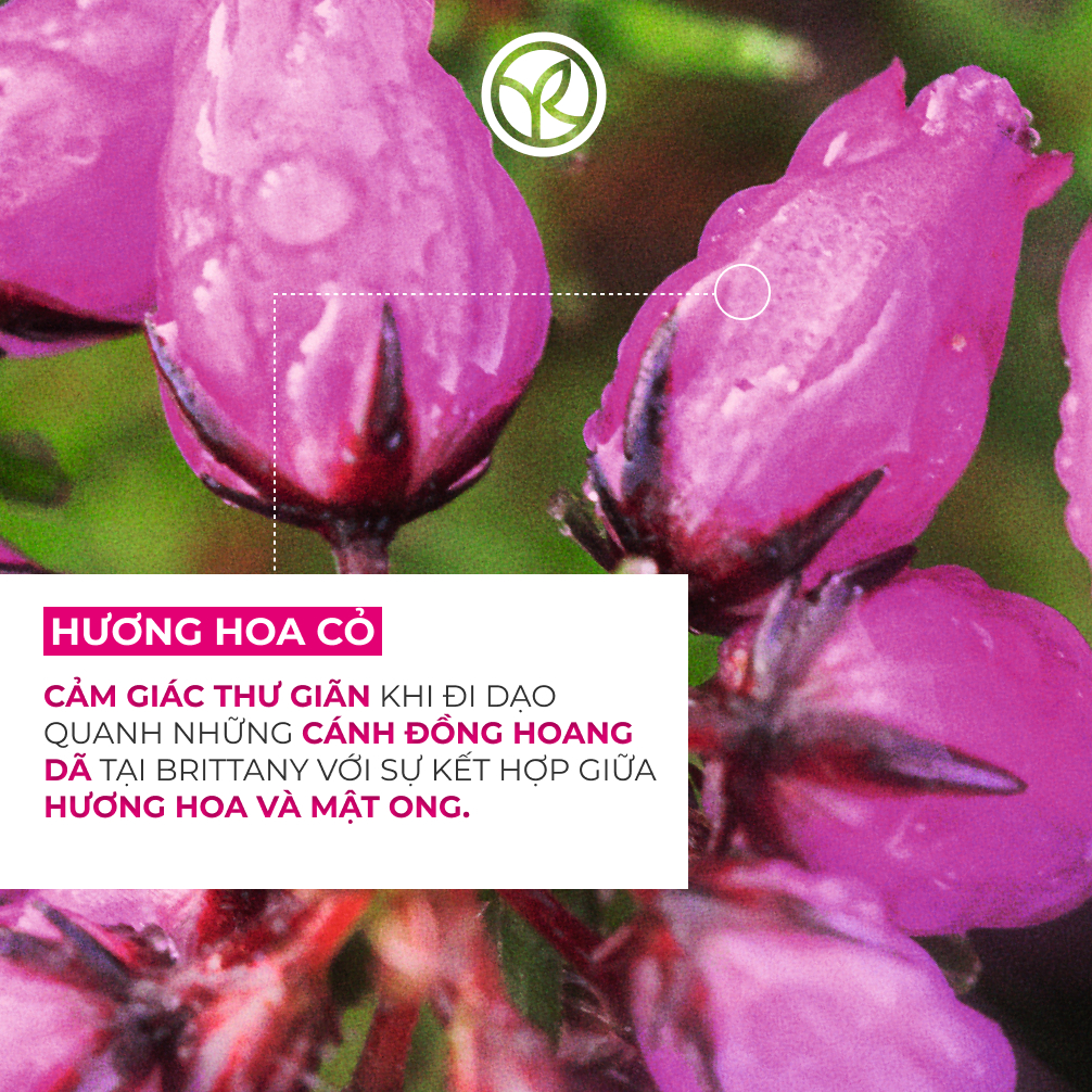 Mô tả Combo 2 sữa tắm hương hoa cỏ và hương biển Yves Rocher 400mlx2 - 3