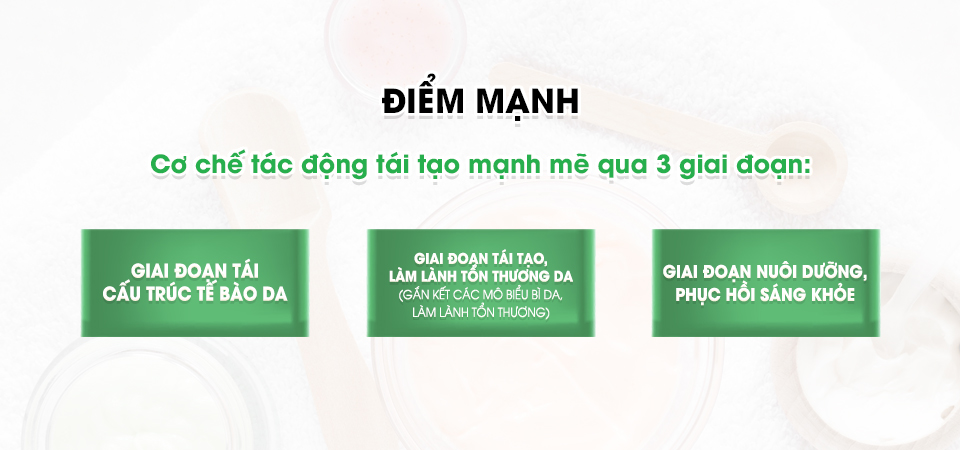 Mô tả Kem Dưỡng Tái Tạo Da RIORI HANA RECOVER SKIN CREAM R1 30g - 2