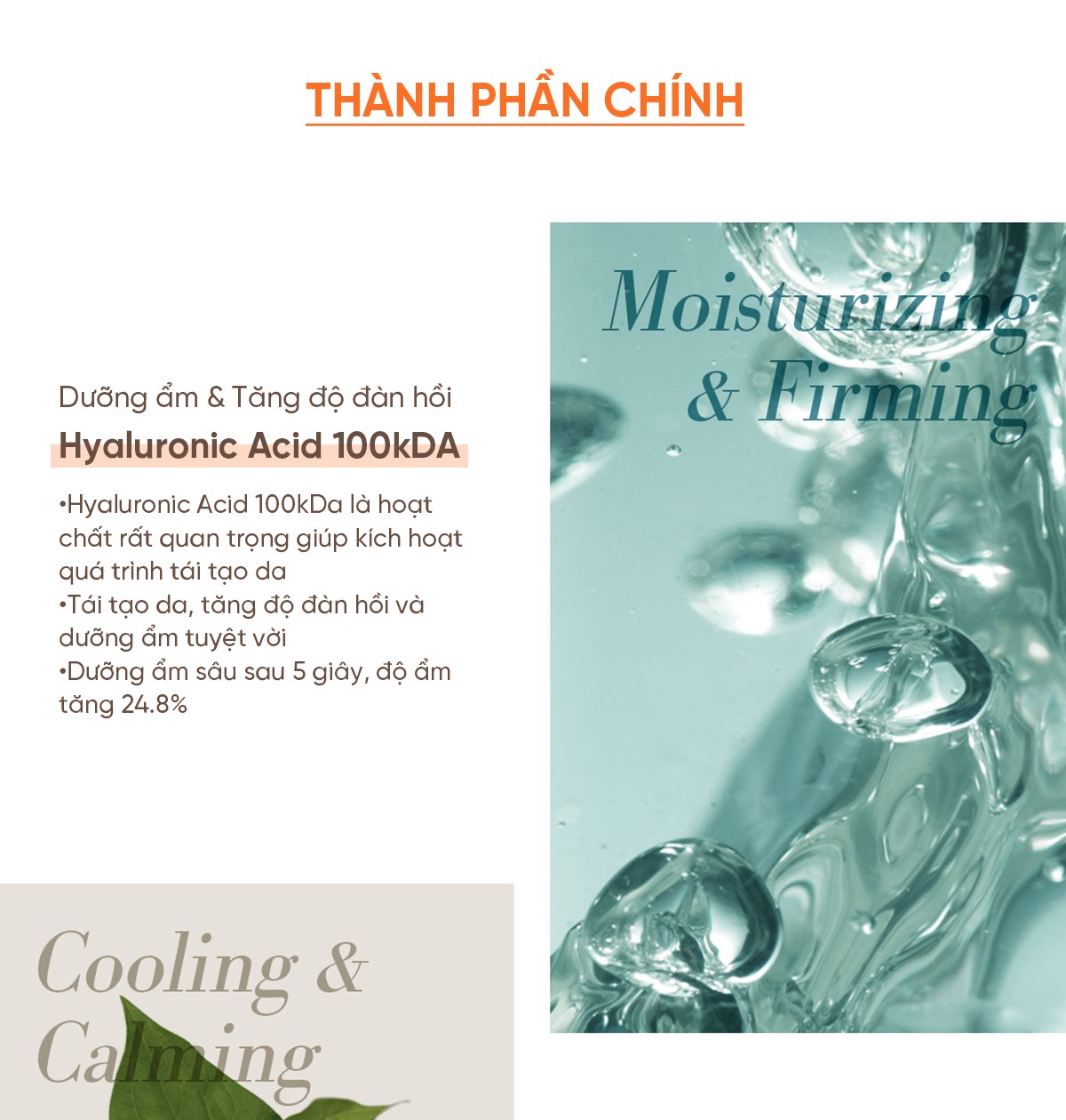 Mô tả Sữa chống nắng hạ nhiệt làn da thế hệ mới Whoo Gongjinhyang Sunquid UV Protective Lotion SPF 50+/ PA++++ 13ml - 4