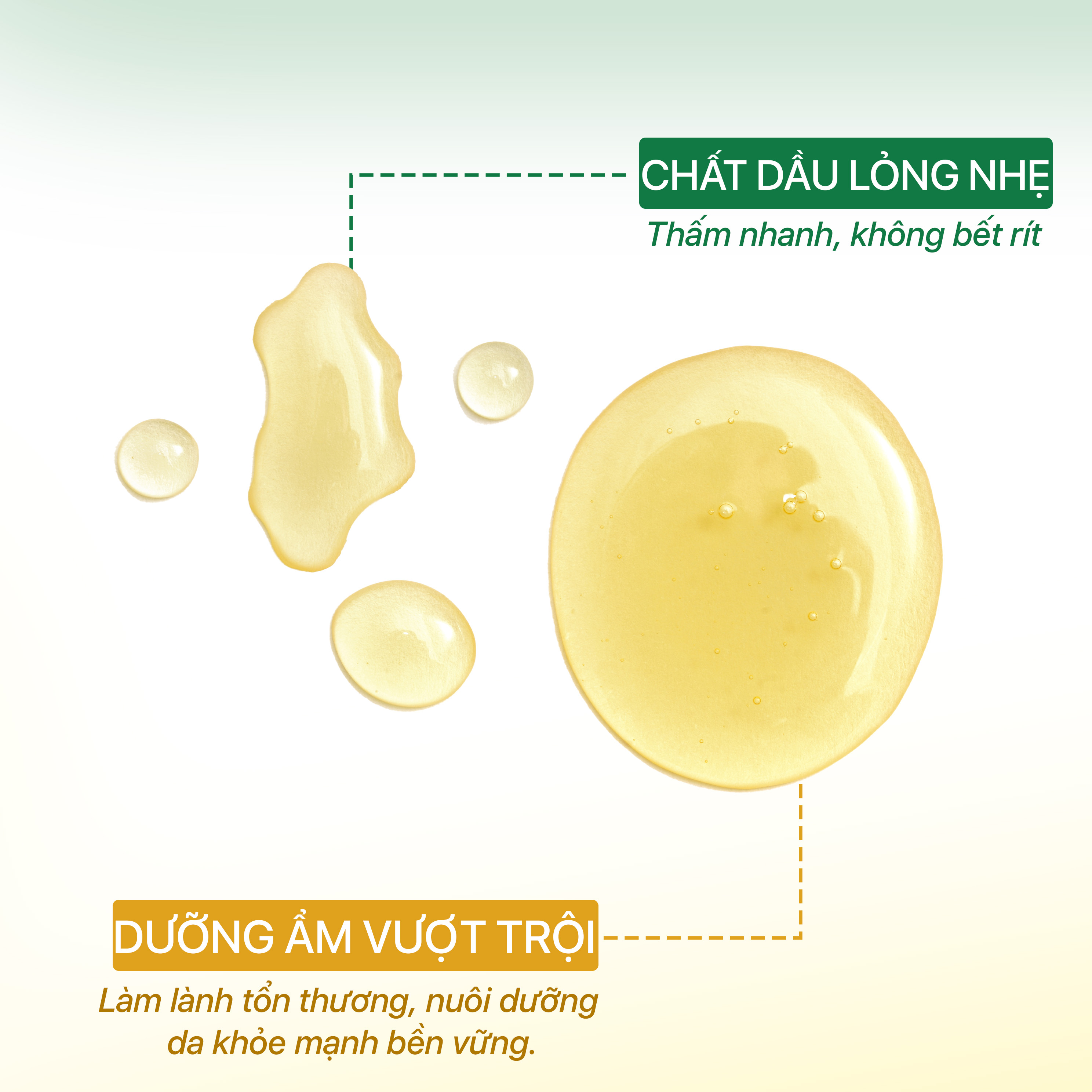 Mô tả Dầu Rạn Da Giảm Ngứa Dưỡng Ẩm Cho Bà Bầu & Mẹ Sau Sinh Lỏng Nhẹ Thấm Nhanh - GUO Body Light Oil Fomular - 5