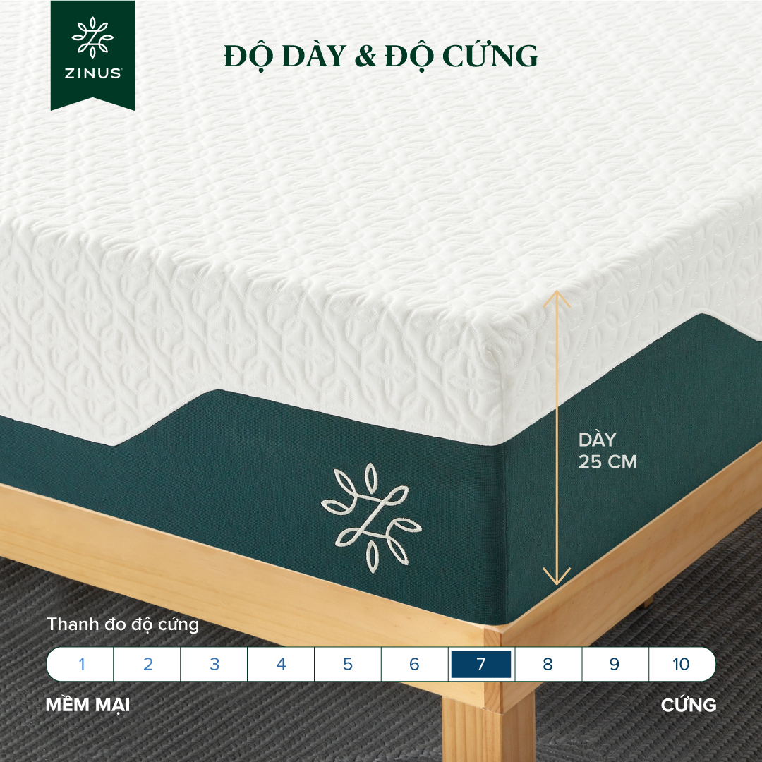 Mô tả Nệm Foam Tinh Chất Trà Xanh Cao Cấp Dày 25cm Zinus - 10in Cooling Gel Memory Foam Mattress - 1