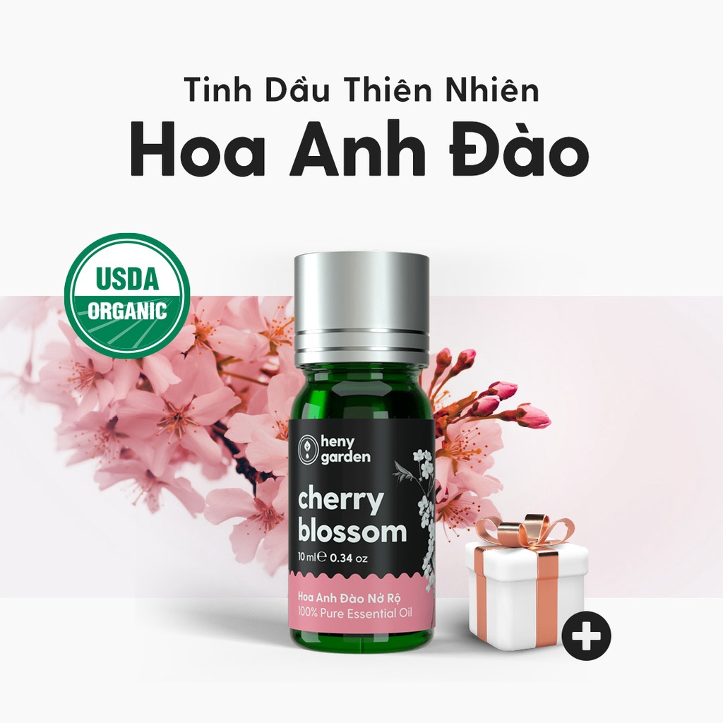 Mô tả Tinh Dầu Hoa Anh Đào Organic Nguyên Chất Đậm Đặc Xông Thơm Phòng, Làm Nến Thơm Thiên Nhiên, Giúp Dễ Ngủ Heny Garden 10mL - 1