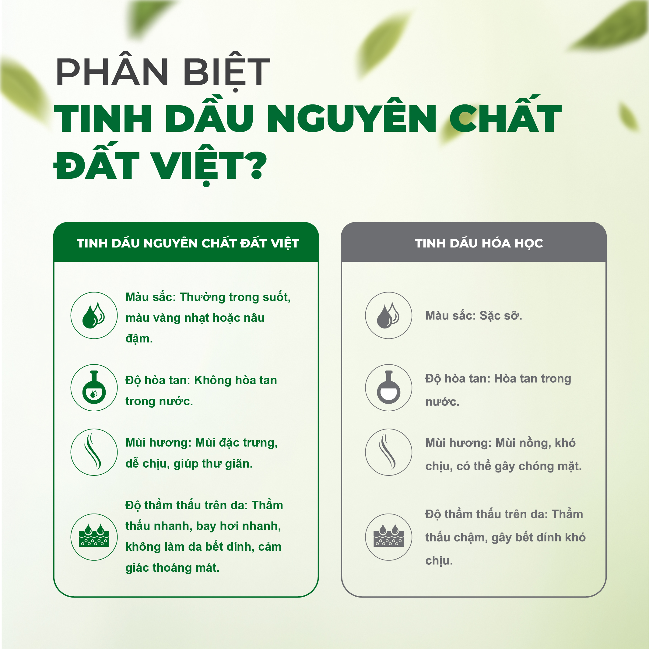 Mô tả Tinh dầu bạc hà nguyên chất Đất Việt dung tích 10ml, 30ml & 50ml, dùng xông phòng - 1