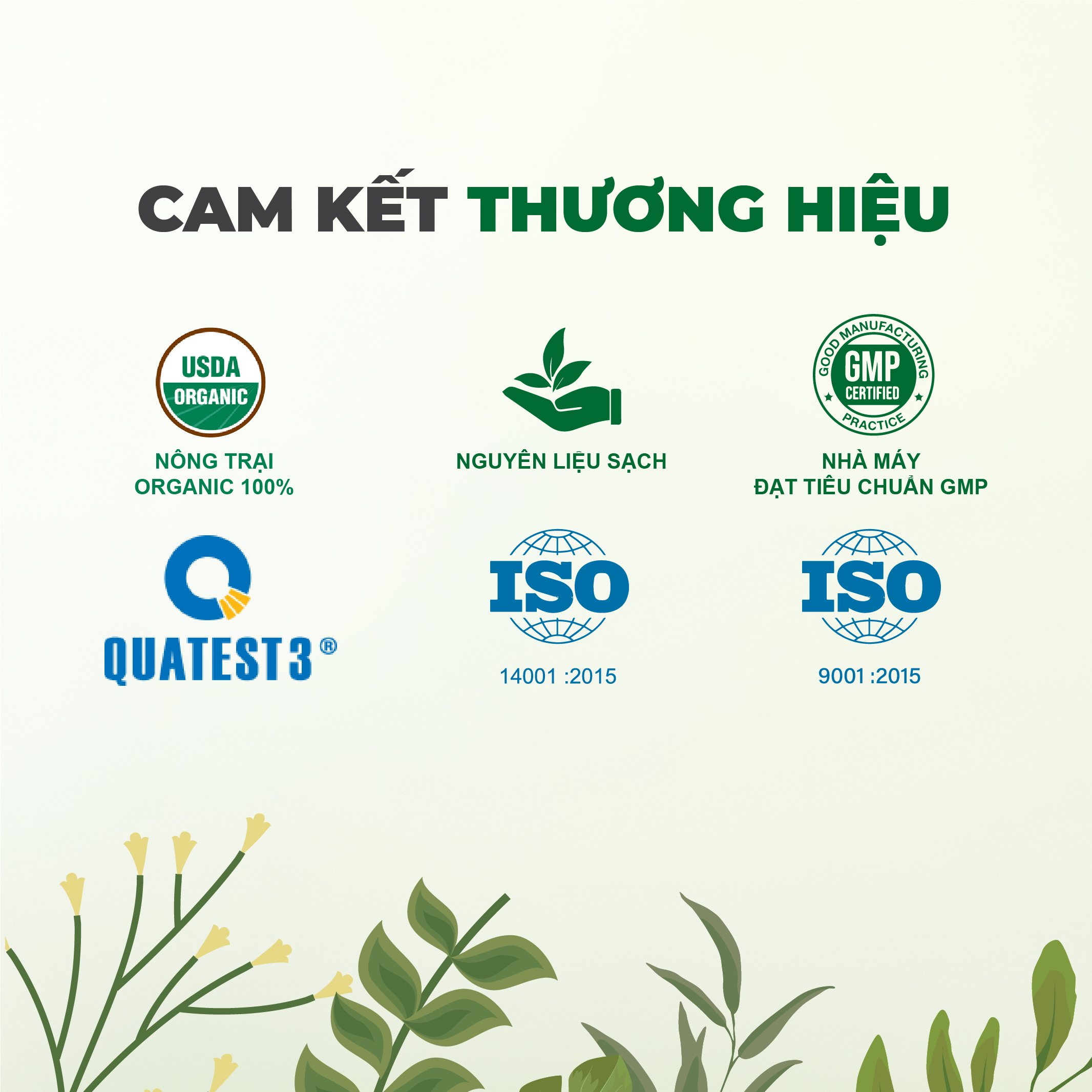 Mô tả Dầu mù u ép lạnh nguyên chất Tinh dầu Đất Việt dung tích 10ml và 30ml - 5
