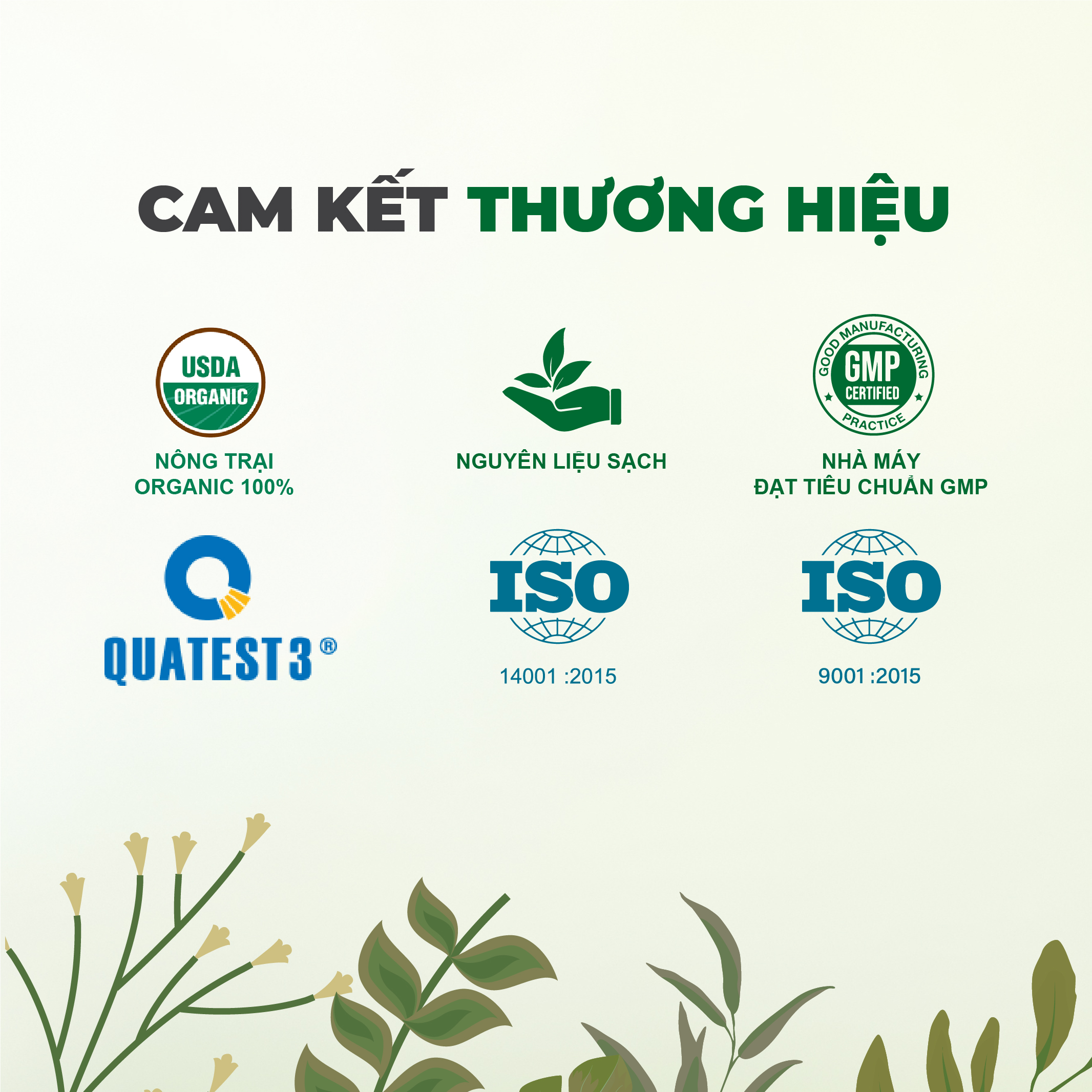 Mô tả Dầu nóng xoa bóp xương khớp thảo dược Bách gia tiêu thống (Nóng nhiều) - Giảm đau khớp, cổ vai gáy - 8