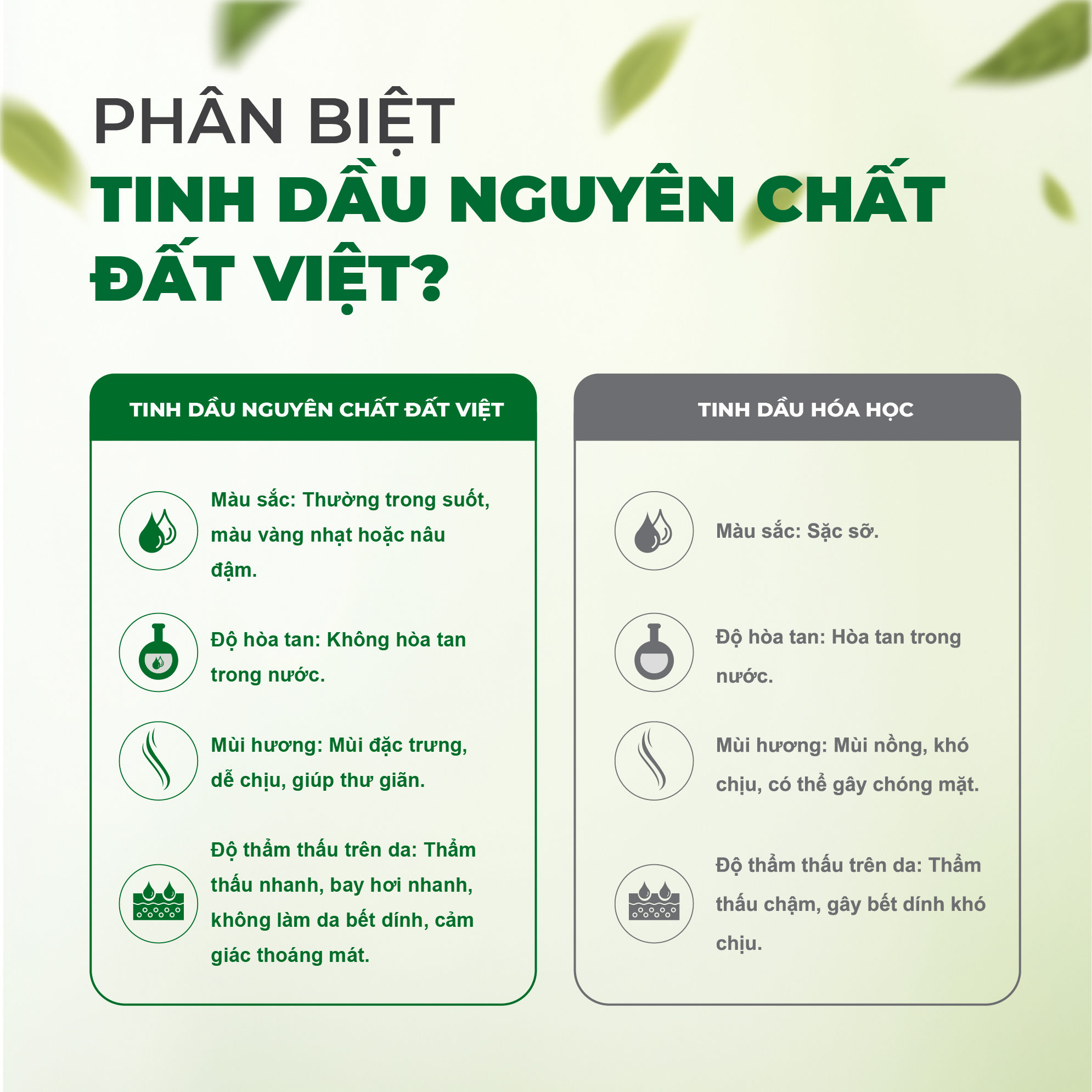 Mô tả Tinh dầu quế nguyên chất Đất Việt dung tích 10ml và 30ml - Xông phòng, đuổi muỗi, khử mùi, thư giãn - 1