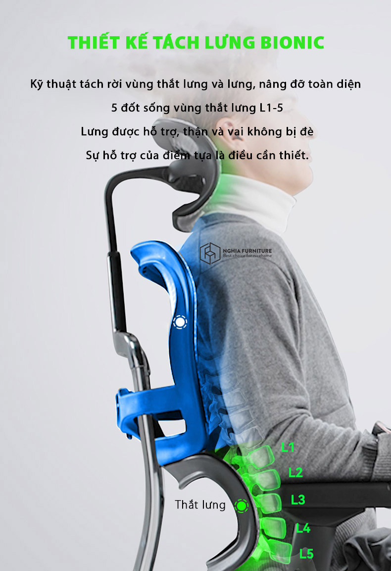 Tựa đầu 2D Ergohuman Elite 02