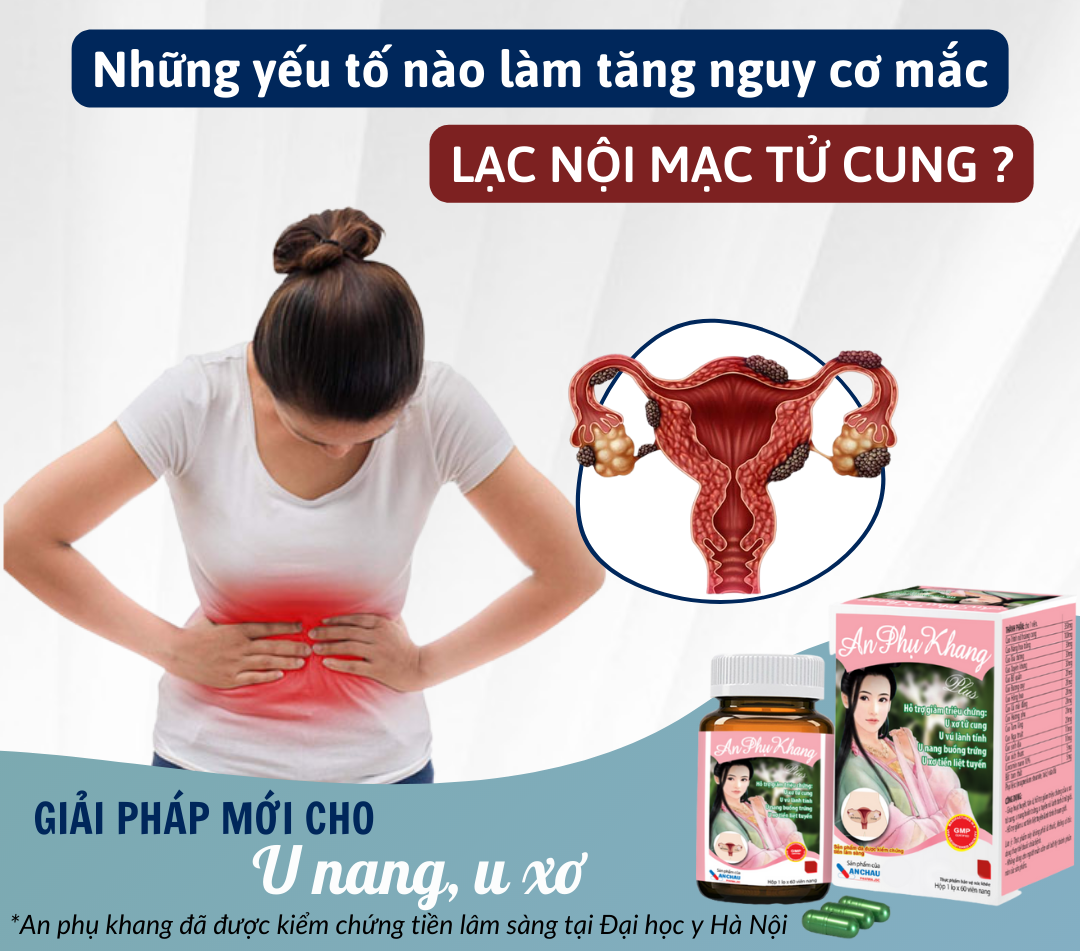 Mô tả An Phụ Khang Plus An Châu hỗ trợ giảm triệu chứng u xơ tử cung, u nang buồn trứng - Global Pharma - 1