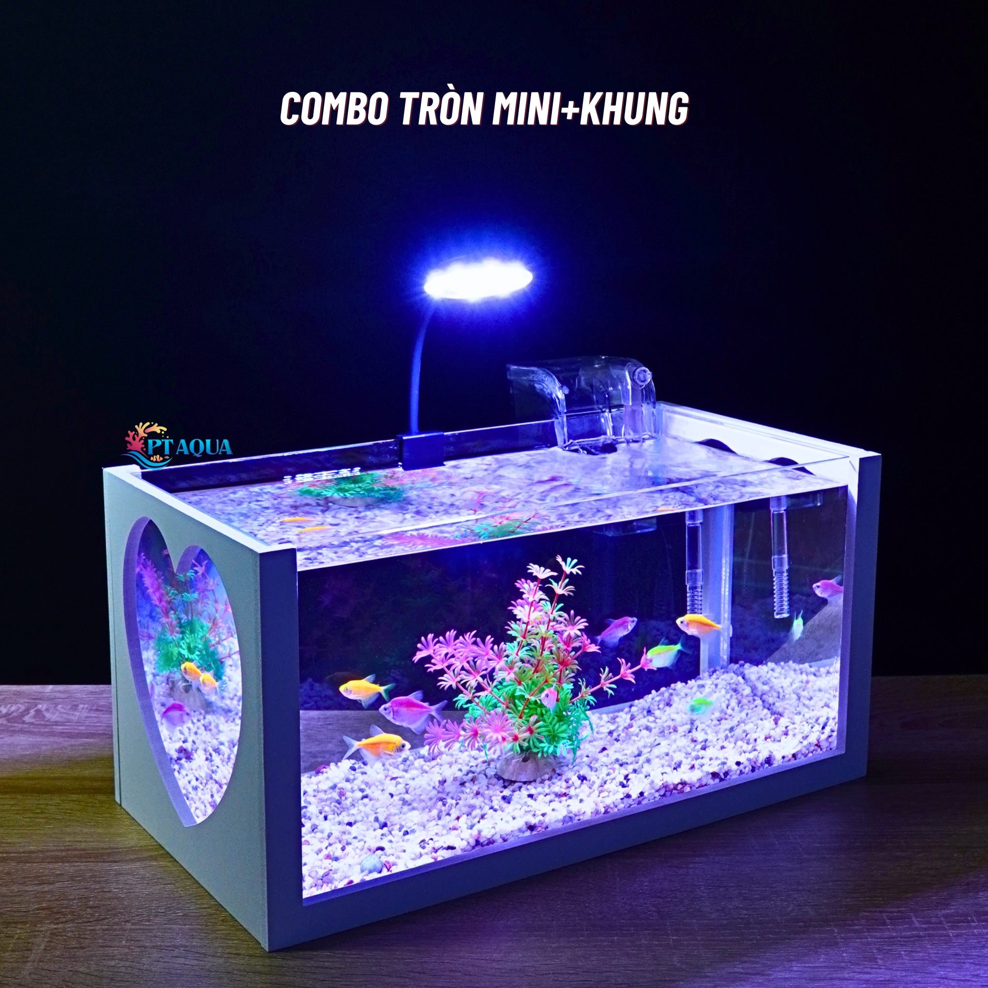 Bể cá mini để bàn 40x20x20cm nhiều mẫu phù hợp nuôi cá cảnh mini nhỏ ...