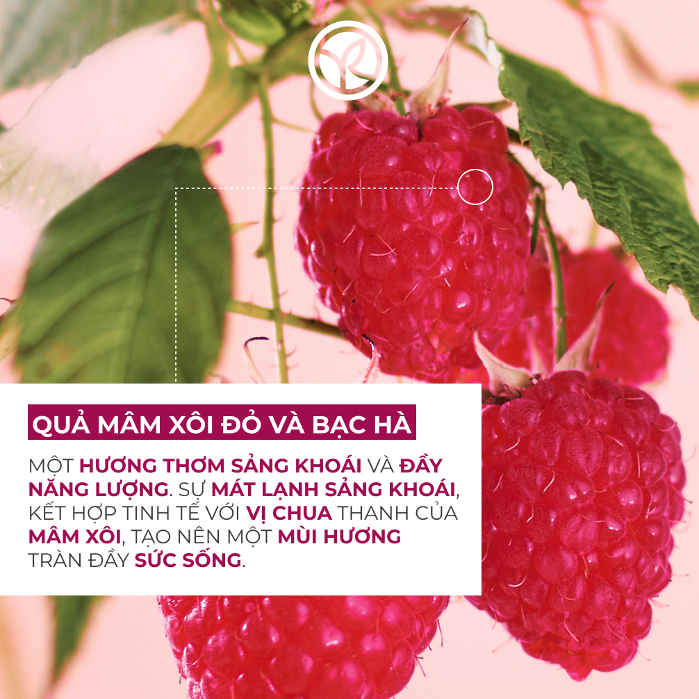 Kem dưỡng da tay hương bạc hà & mâm xôi đỏ Yves Rocher Hand Cream ...