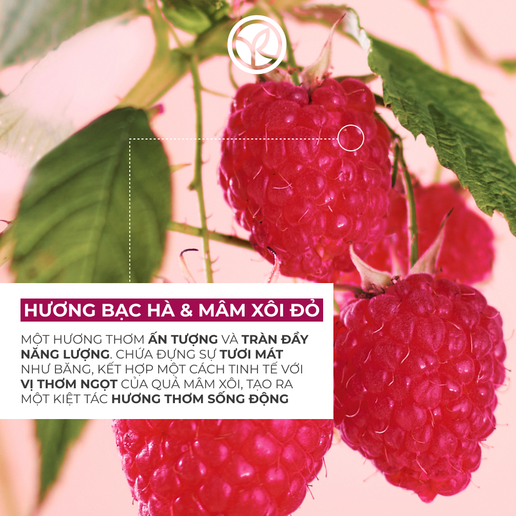 Son dưỡng hương mâm xôi đỏ Yves Rocher Lip Balm Raspberry 4.8G | Shopee ...