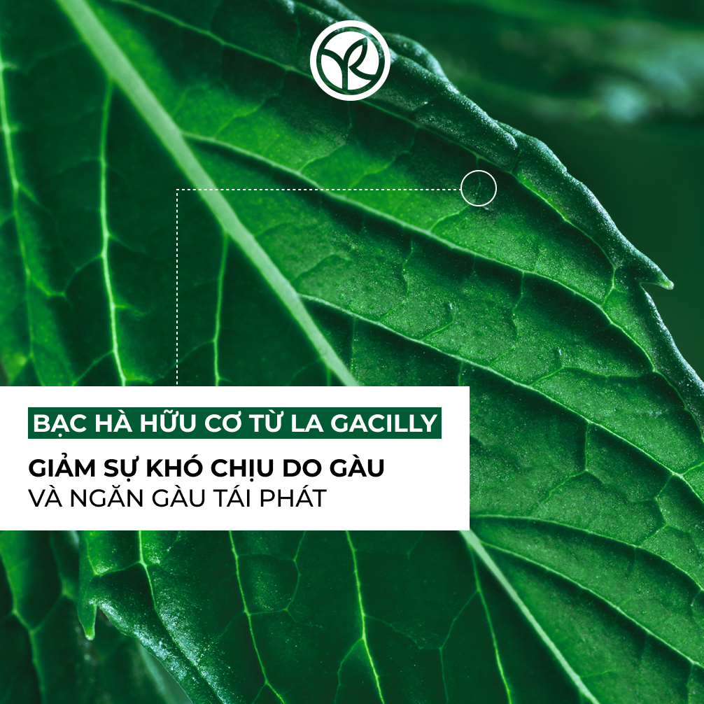 Mô tả Dầu gội ngăn ngừa gàu Yves Rocher Anti-Dandruff Treatment Shampoo 300ml - 2