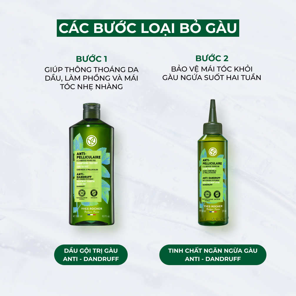 Mô tả Dầu gội ngăn ngừa gàu Yves Rocher Anti-Dandruff Treatment Shampoo 300ml - 3