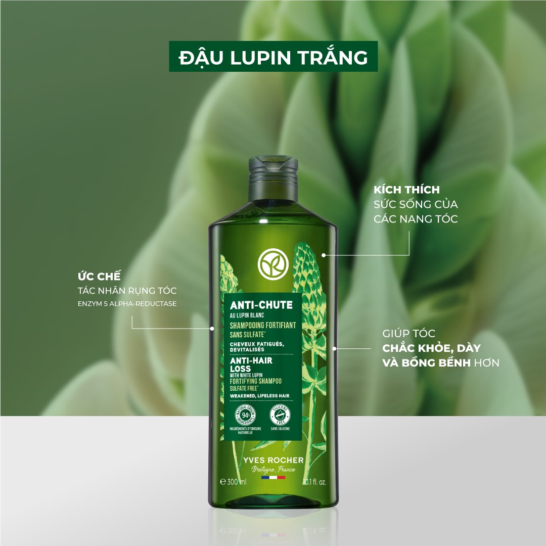 Dầu Gội Dành Cho Tóc Dầu Yves Rocher Thanh Lọc