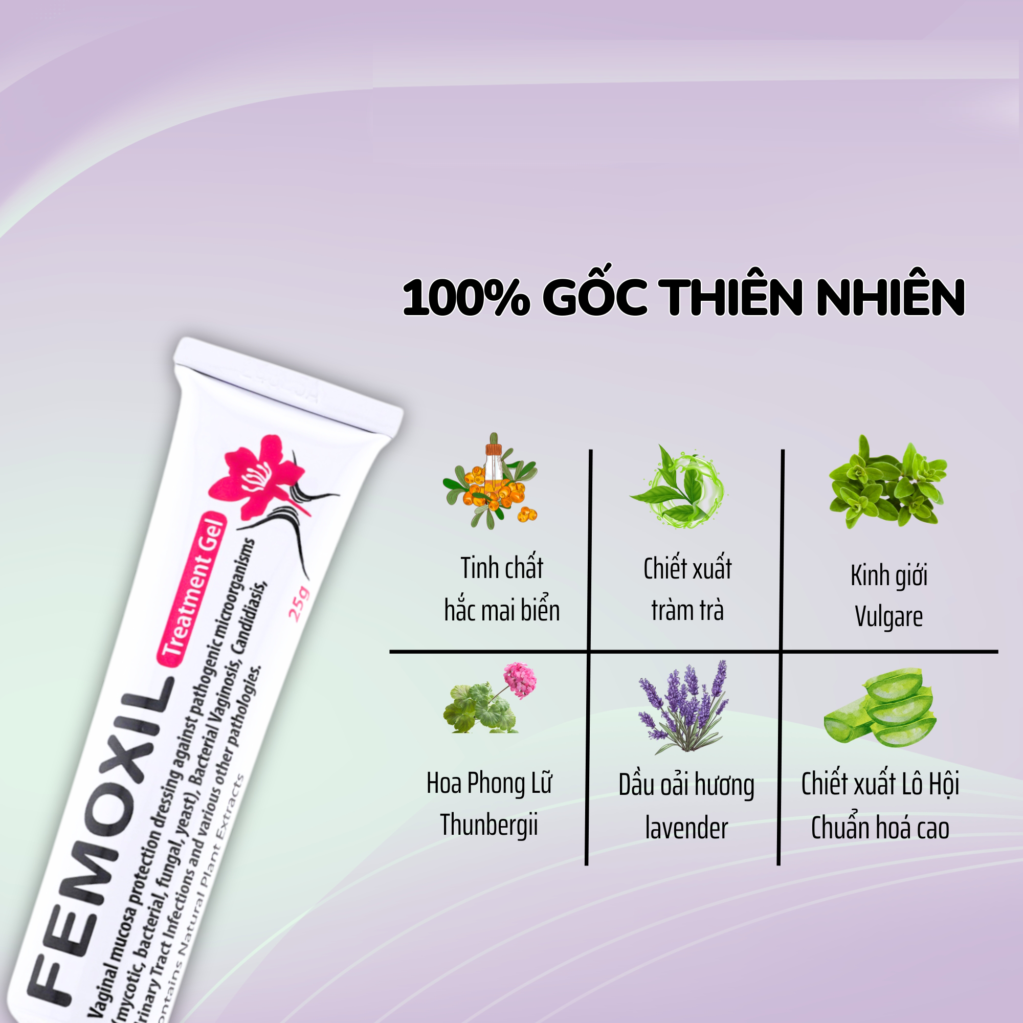 Mô tả Gel bôi âm đạo giảm nấm ngứa, sạch sâu, se khít hồng hào tự nhiên Femoxil tuýp 25g, Danpharm Israel - 2