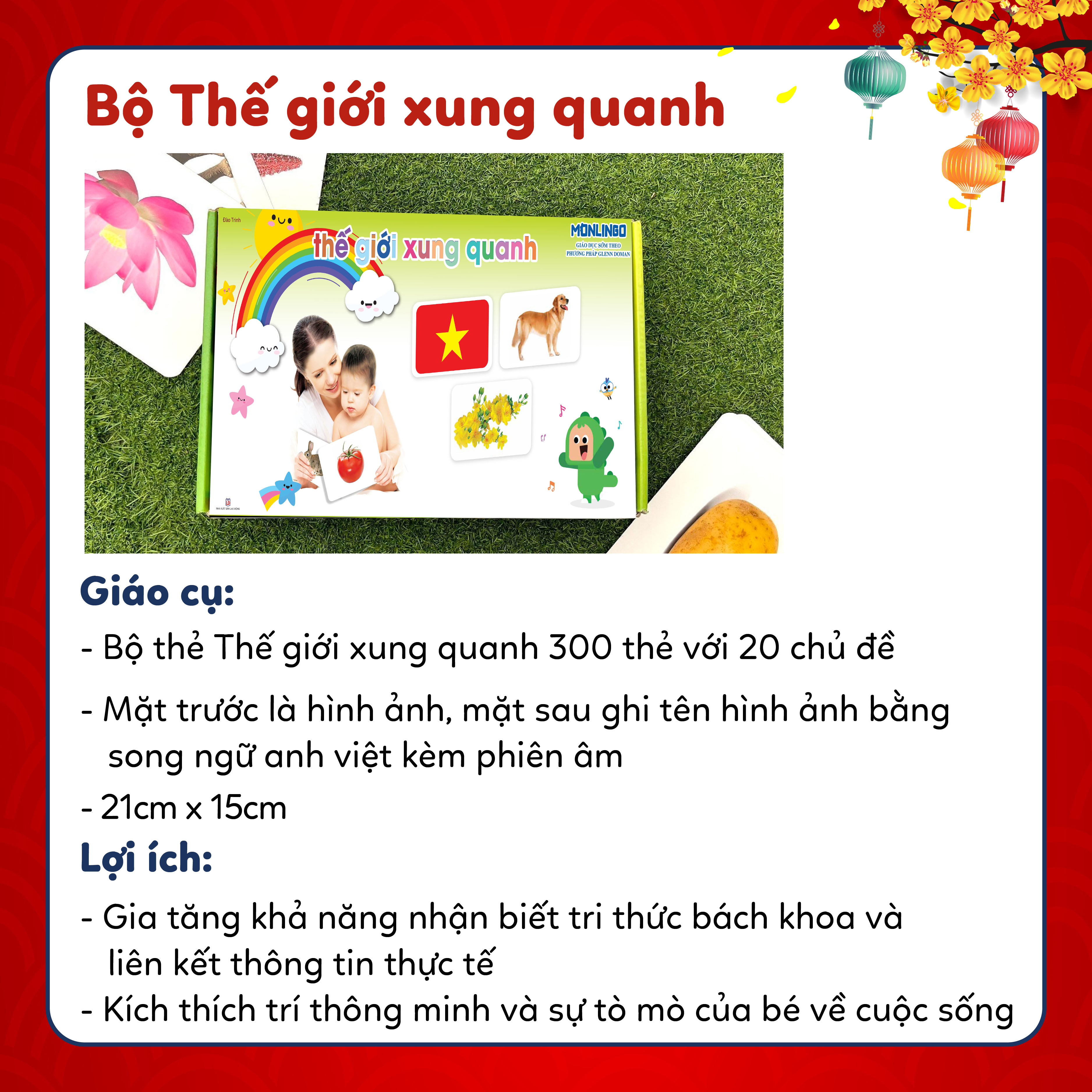 Mô tả Flashcard - Combo kết hợp bộ thẻ Theo Phương Pháp Glenn Doman (Hộp 459 thẻ) - 3
