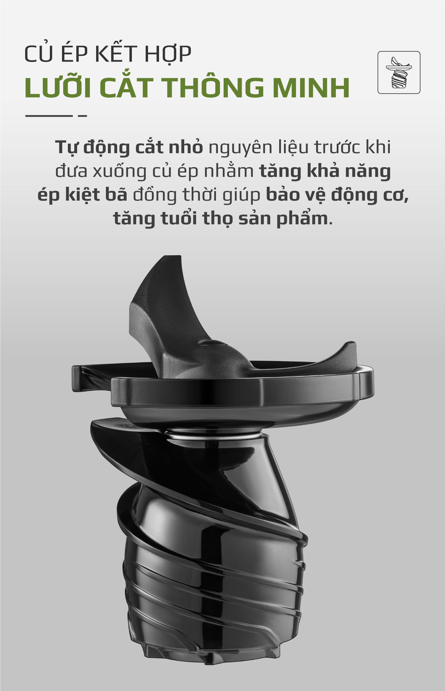 vn 11134208 7r98o