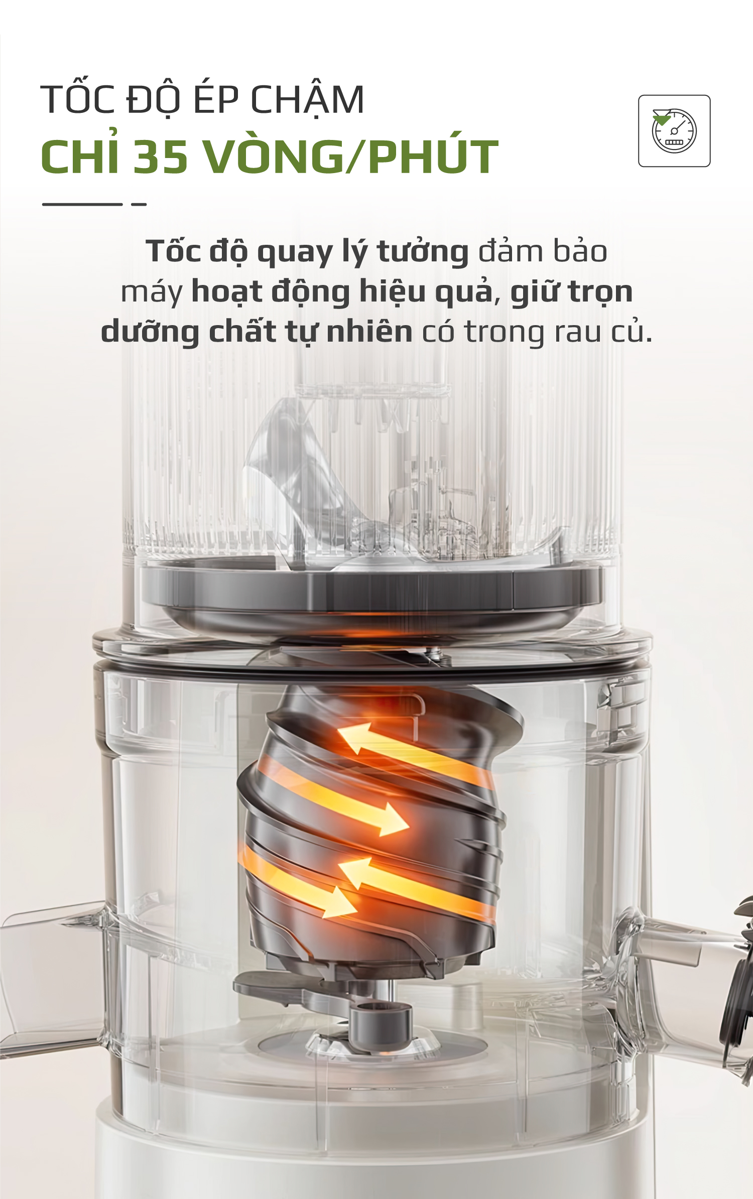 vn 11134208 7r98o