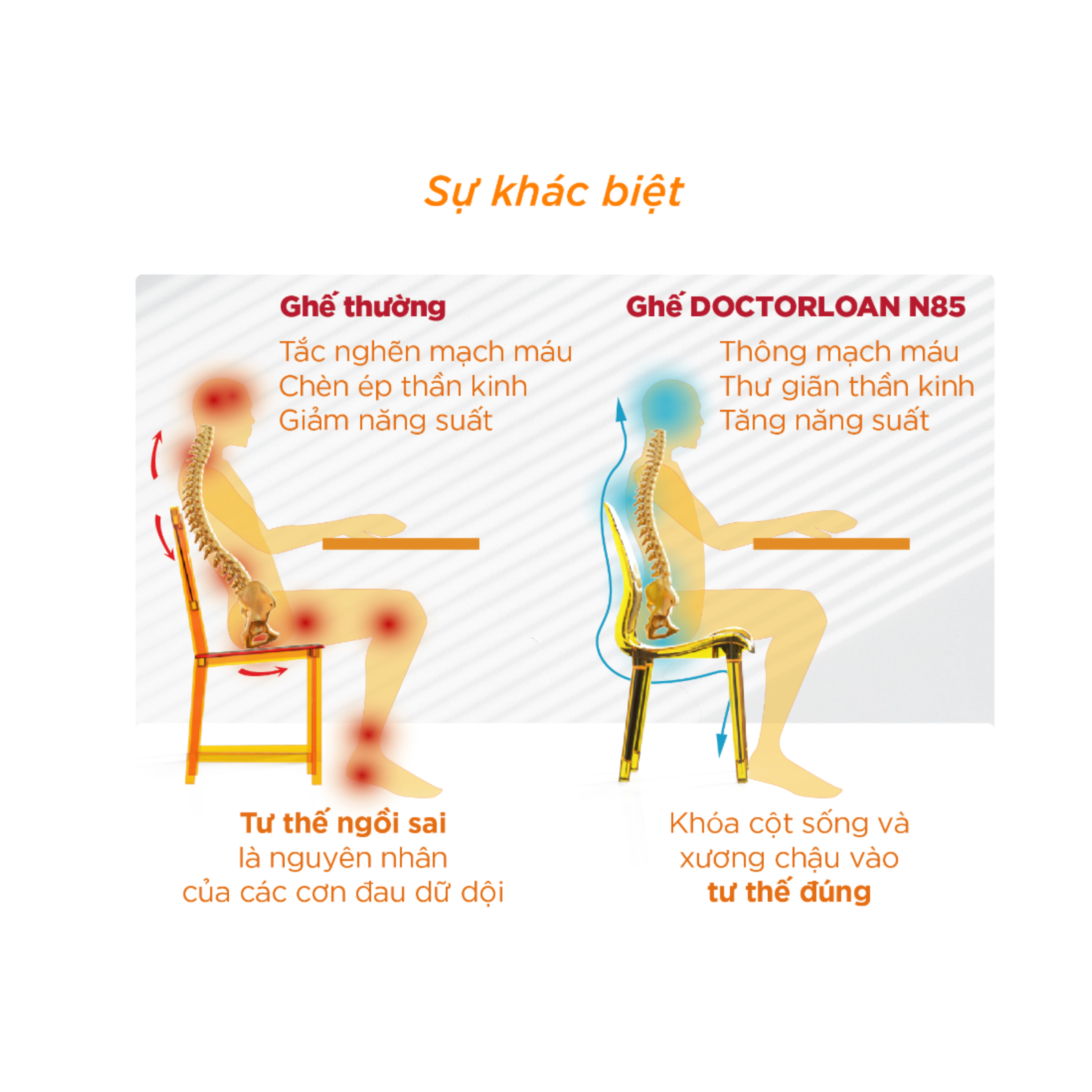 Mô tả Ghế sáng chế DOCTORLOAN N85 chỉnh dáng ngồi hỗ trợ cột sống - 5