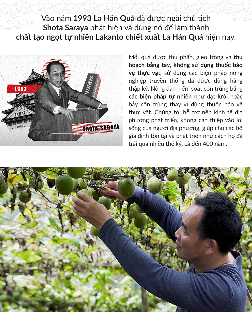 Mô tả Đường ăn kiêng La Hán Quả Saraya Lakanto MonkFruit Vàng, 0 Calo, 0 tăng đường huyết, 0 biến đổi gen - 235g - 4