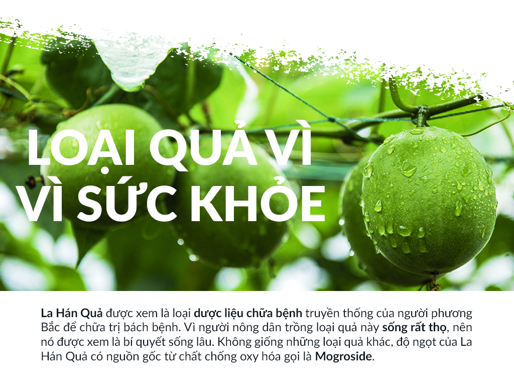Mô tả Đường ăn kiêng La Hán Quả Saraya Lakanto MonkFruit Trắng, 0 Calo, 0 tăng đường huyết, 0 biến đổi gen - 454g - 3