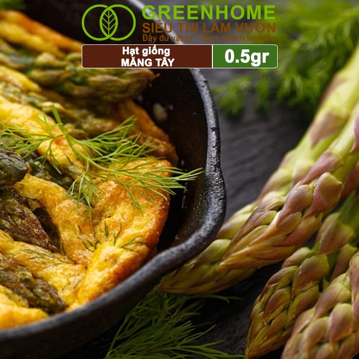 Mô tả Hạt Giống Măng Tây Xanh Greenhome, Gói 0.5g~50 hạt, Dễ Trồng, Nảy Mầm Cao, Thu Hoạch, Năng Suất T19 - 4