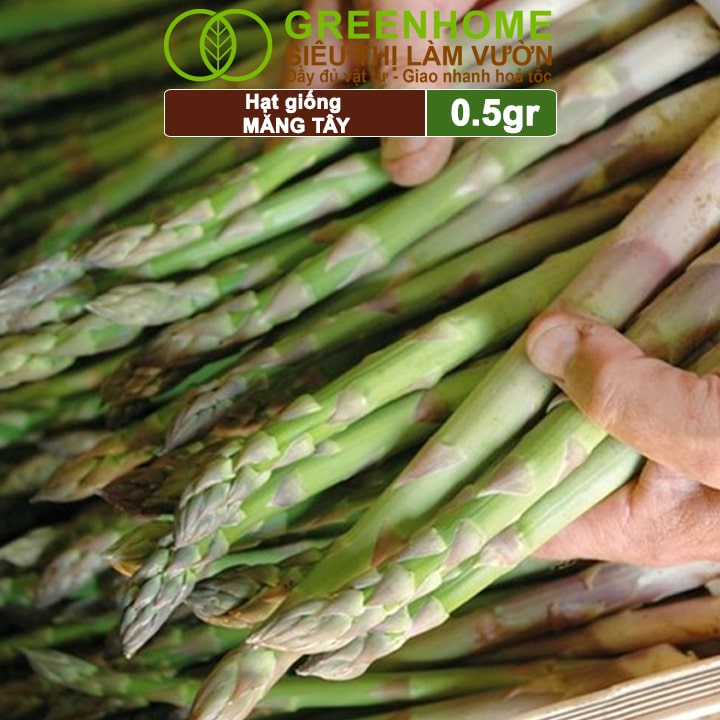 Đất trồng măng tây xanh