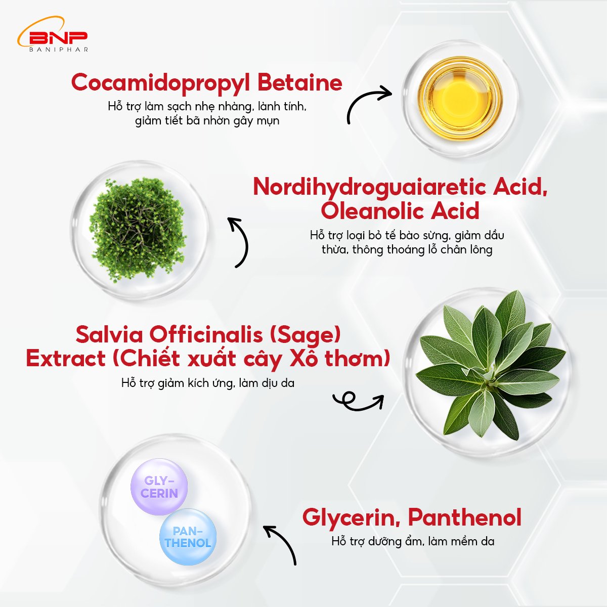 Mô tả Sữa rửa mặt dạng gel ngừa mụn trắng da Ziaja Nuno cho da dầu và da hỗn hợp, không gây kích ứng 200ml - 3