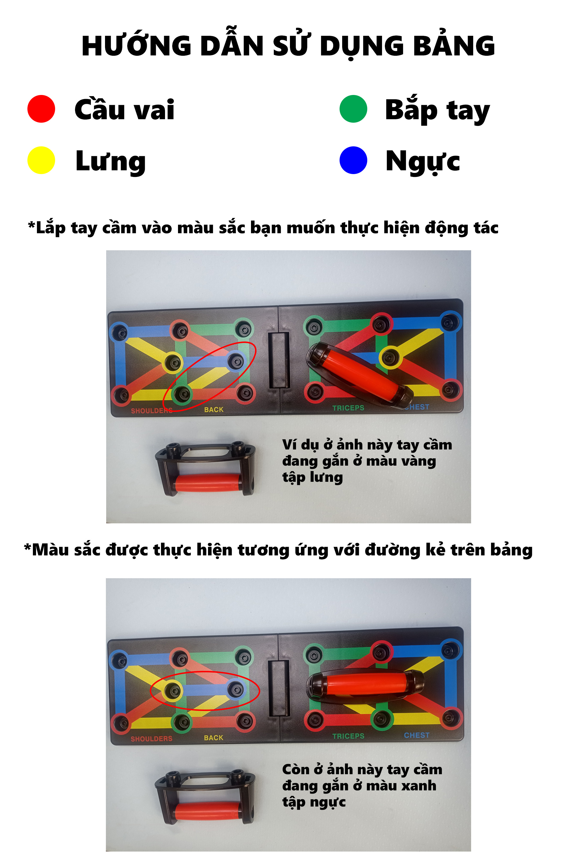Mô tả Bảng Tập Hít Đất Bảo Hành 12 Tháng Dụng Cụ Chống Đẩy Chất Liệu Nhựa ABS Cứng Cáp Cleacco DCCDT Boro Sport - 6